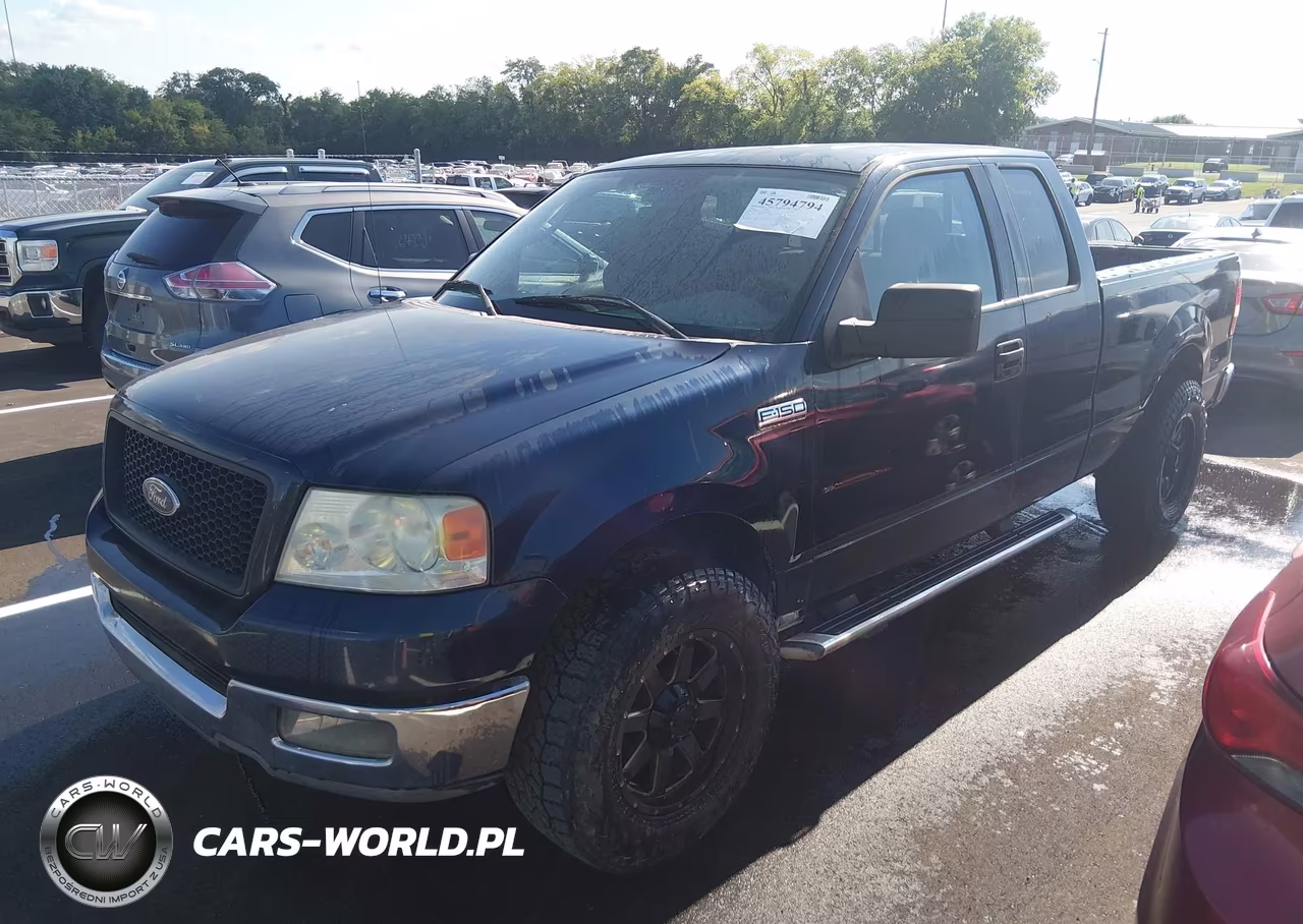 2004 Ford F-150 Stx-Xl-Xlt VIN:1FTRX12W64NB97498 - 6
