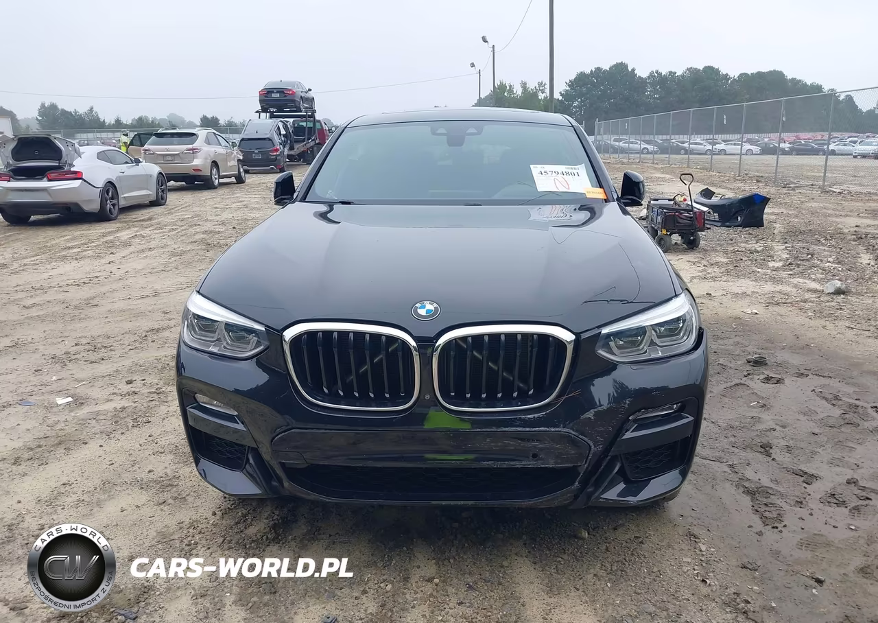 2019 BMW X4 xDrive30I VIN:5UXUJ3C50KLG55155 - 12