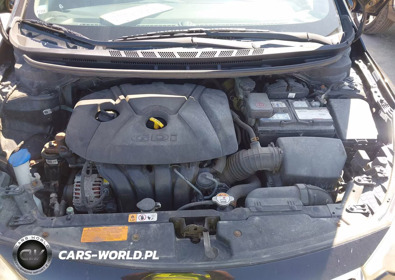 2015 Kia Forte Ex VIN:KNAFX4A87F5350249 - 10