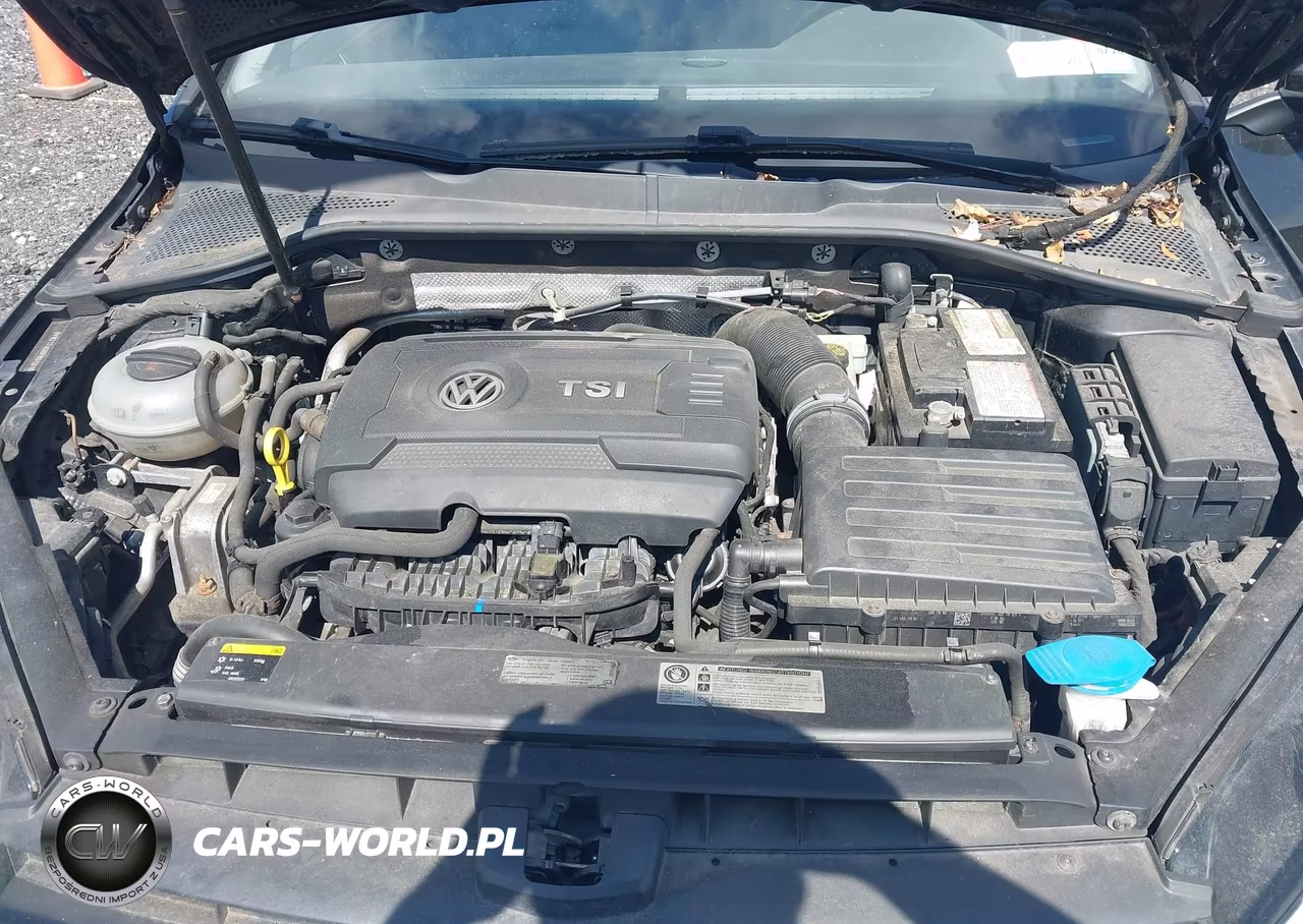 2015 Volkswagen Golf Tsi Sel 4-Door VIN:3VW217AU8FM013100 - 10