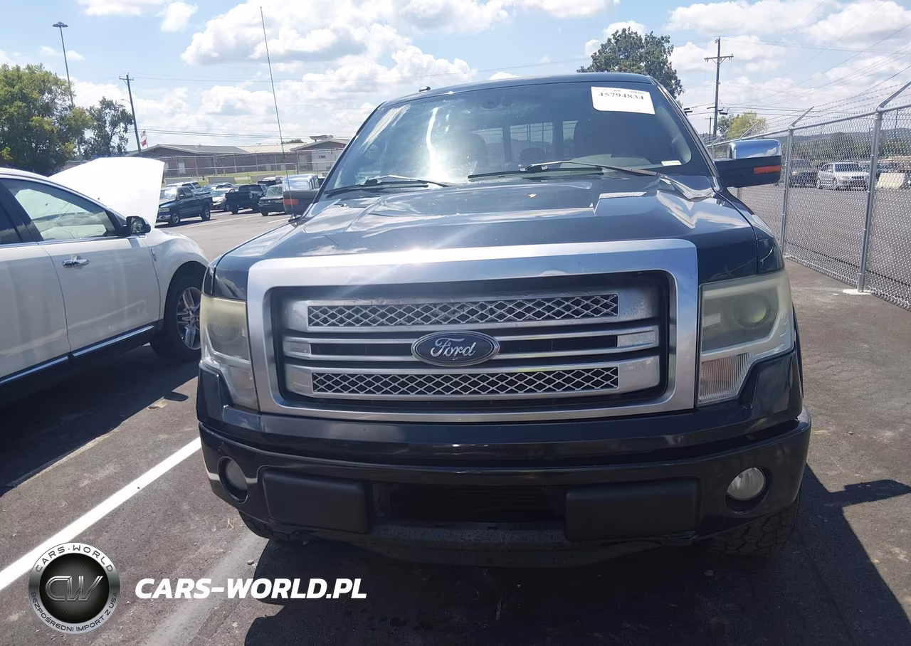 2013 Ford F-150 Platinum VIN:1FTFW1ETXDFA77429 - 11