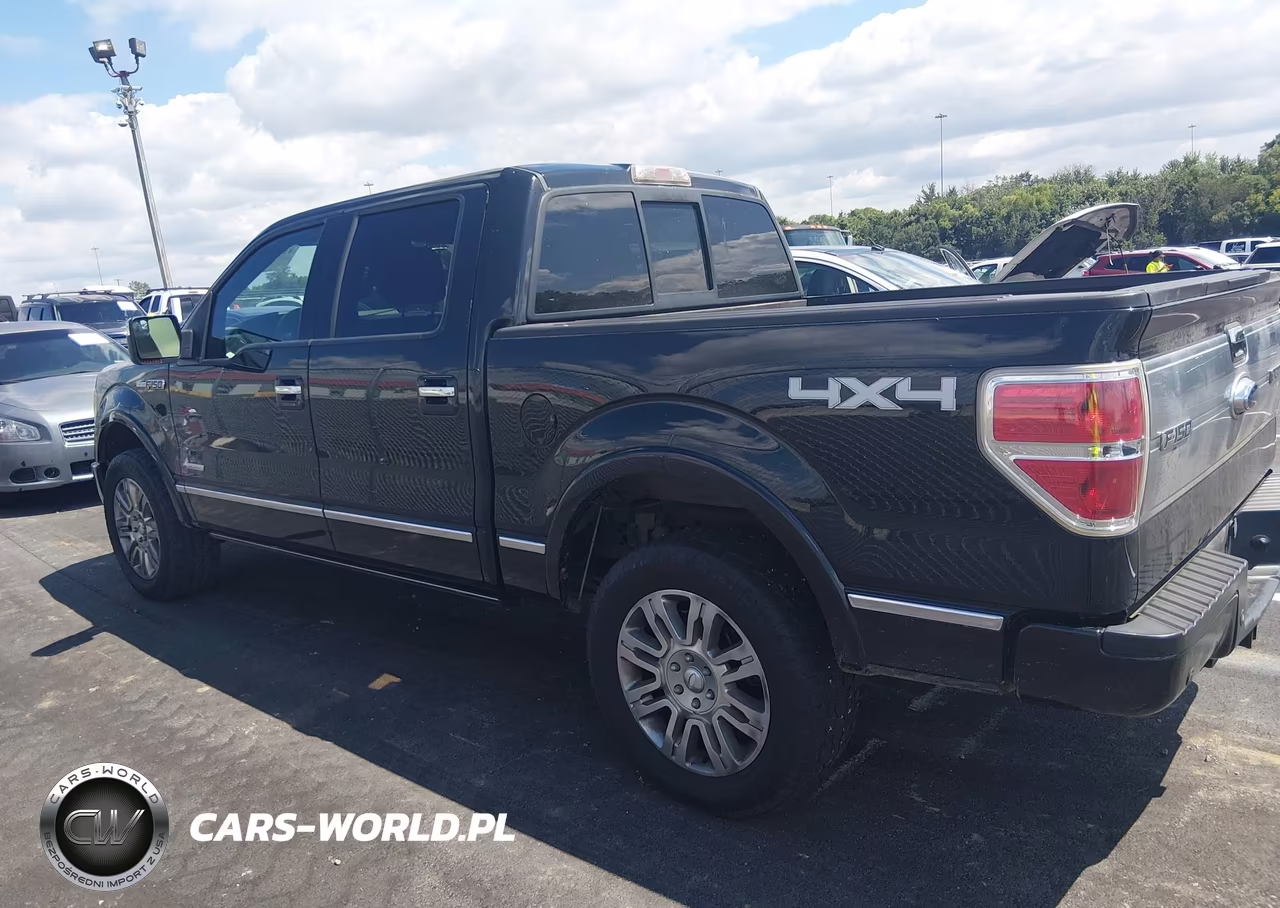 2013 Ford F-150 Platinum VIN:1FTFW1ETXDFA77429 - 13