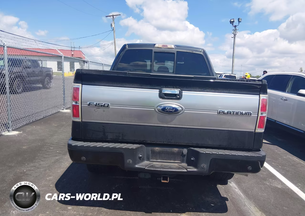 2013 Ford F-150 Platinum VIN:1FTFW1ETXDFA77429 - 15
