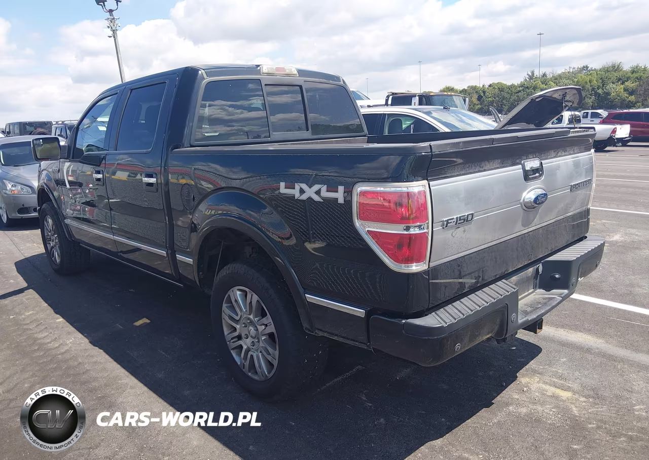 2013 Ford F-150 Platinum VIN:1FTFW1ETXDFA77429 - 3