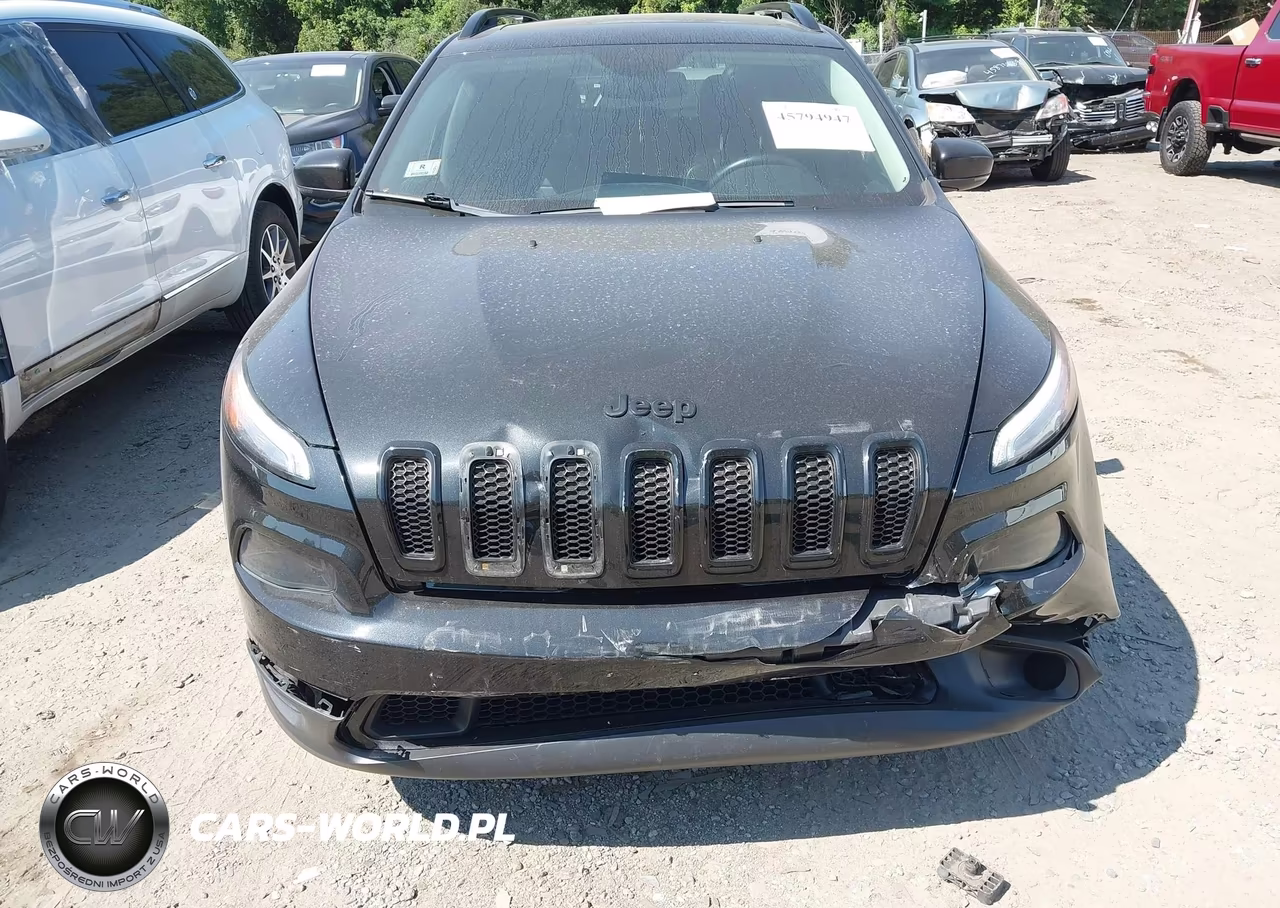 2016 Jeep Cherokee High Altitude VIN:1C4PJMDS0GW333756 - 11