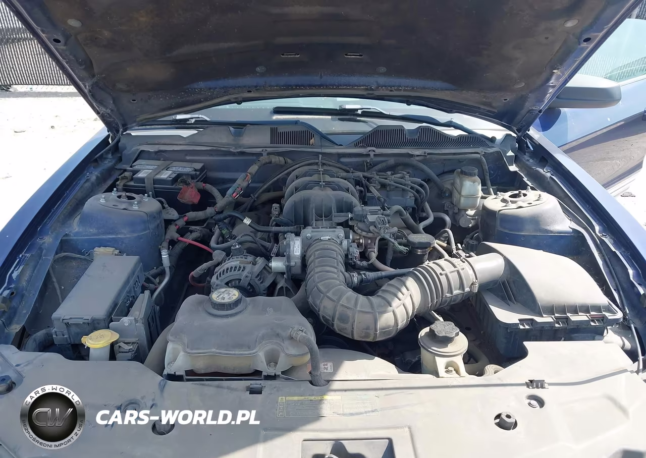 2010 Ford Mustang V6-V6 Premium VIN:1ZVBP8AN2A5106805 - 10