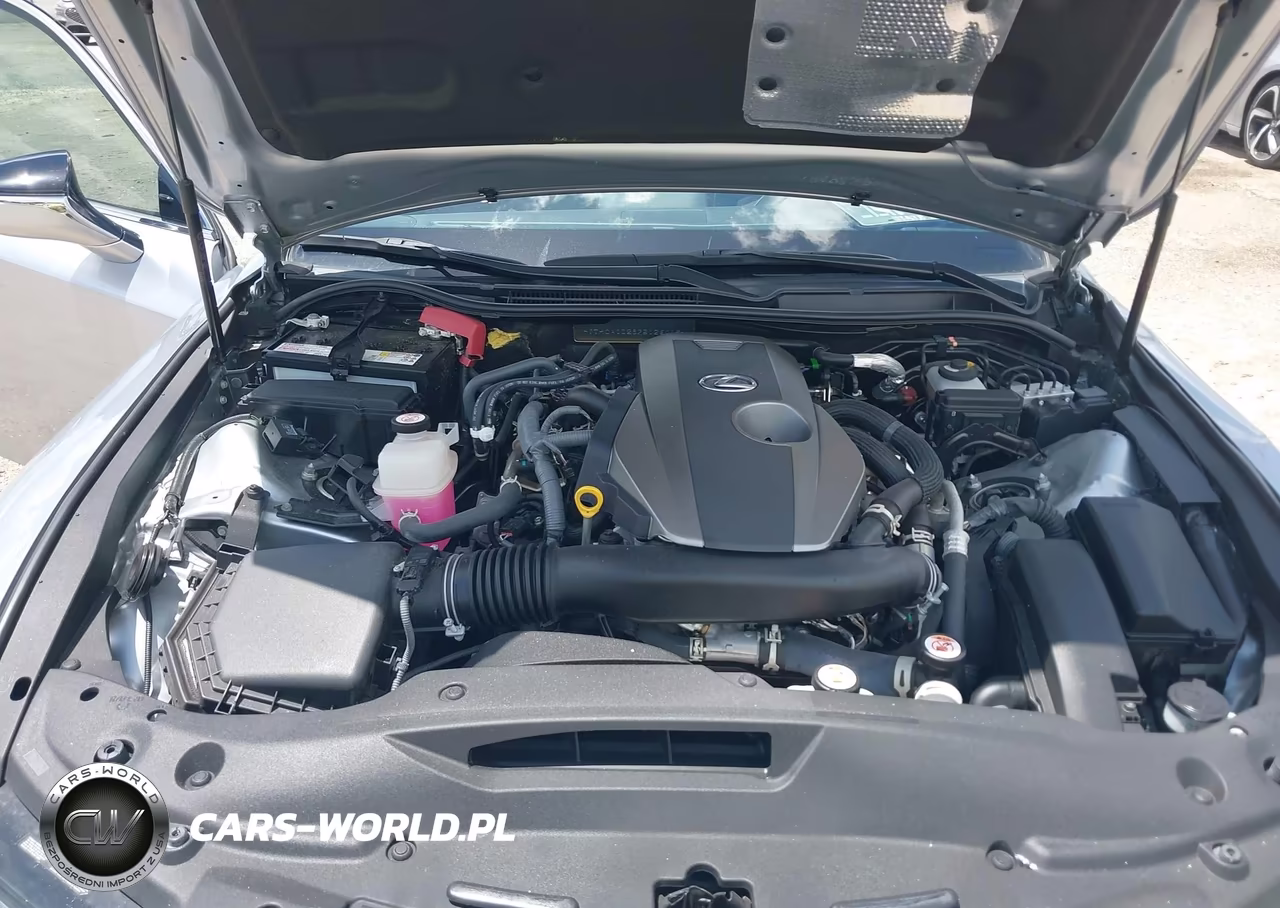 2023 Lexus Is 300 VIN:JTHCA1D28P5126419 - 10