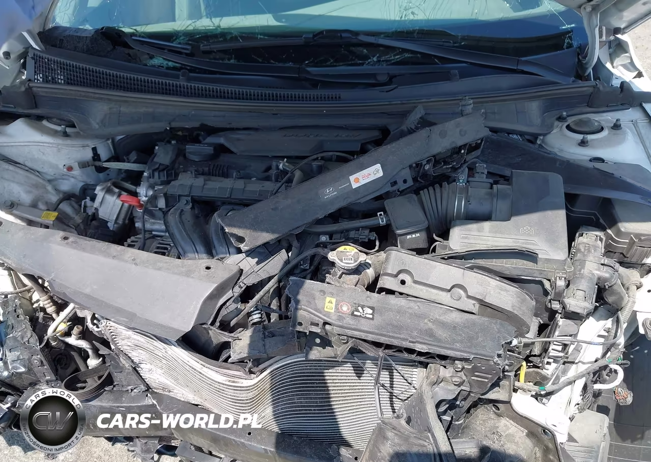 2024 Hyundai Elantra Sel VIN:KMHLS4DGXRU642801 - 10