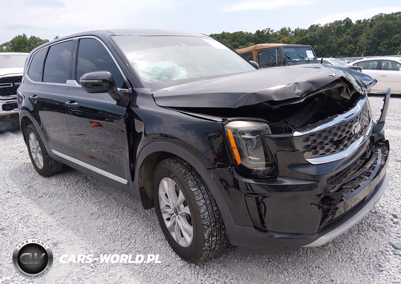 2021 Kia Telluride Lx VIN:5XYP24HC9MG102704 - 1