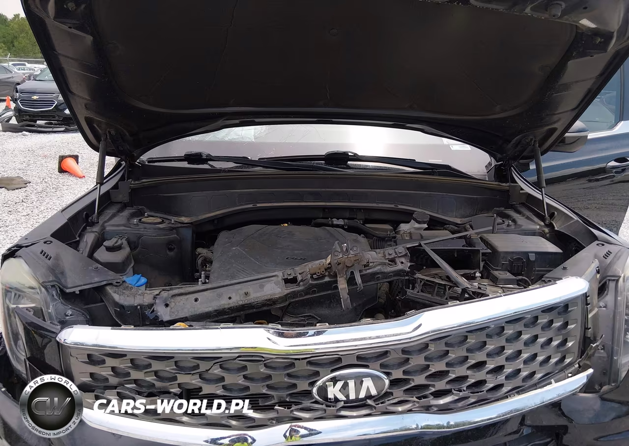 2021 Kia Telluride Lx VIN:5XYP24HC9MG102704 - 10