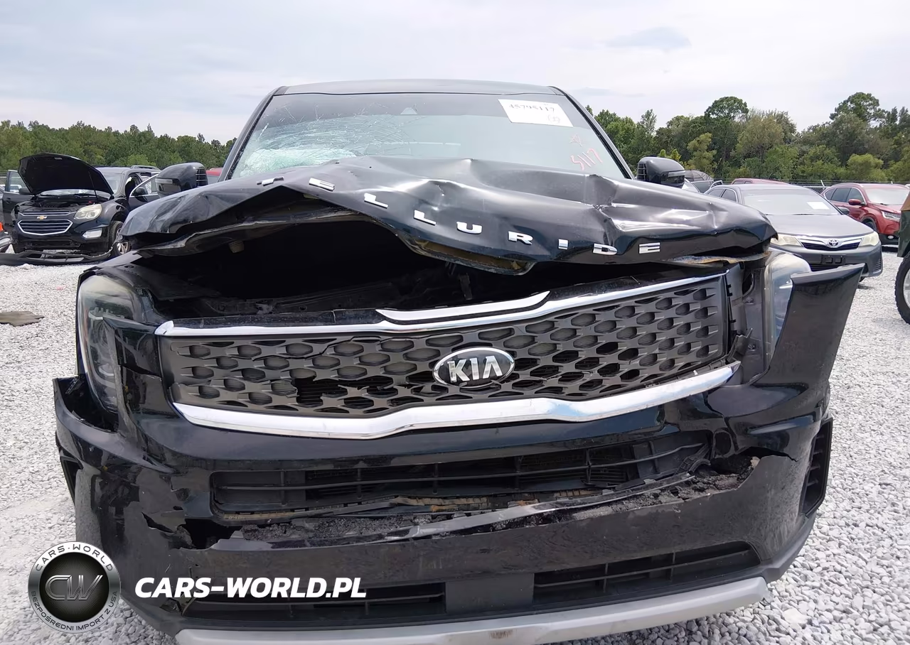 2021 Kia Telluride Lx VIN:5XYP24HC9MG102704 - 12