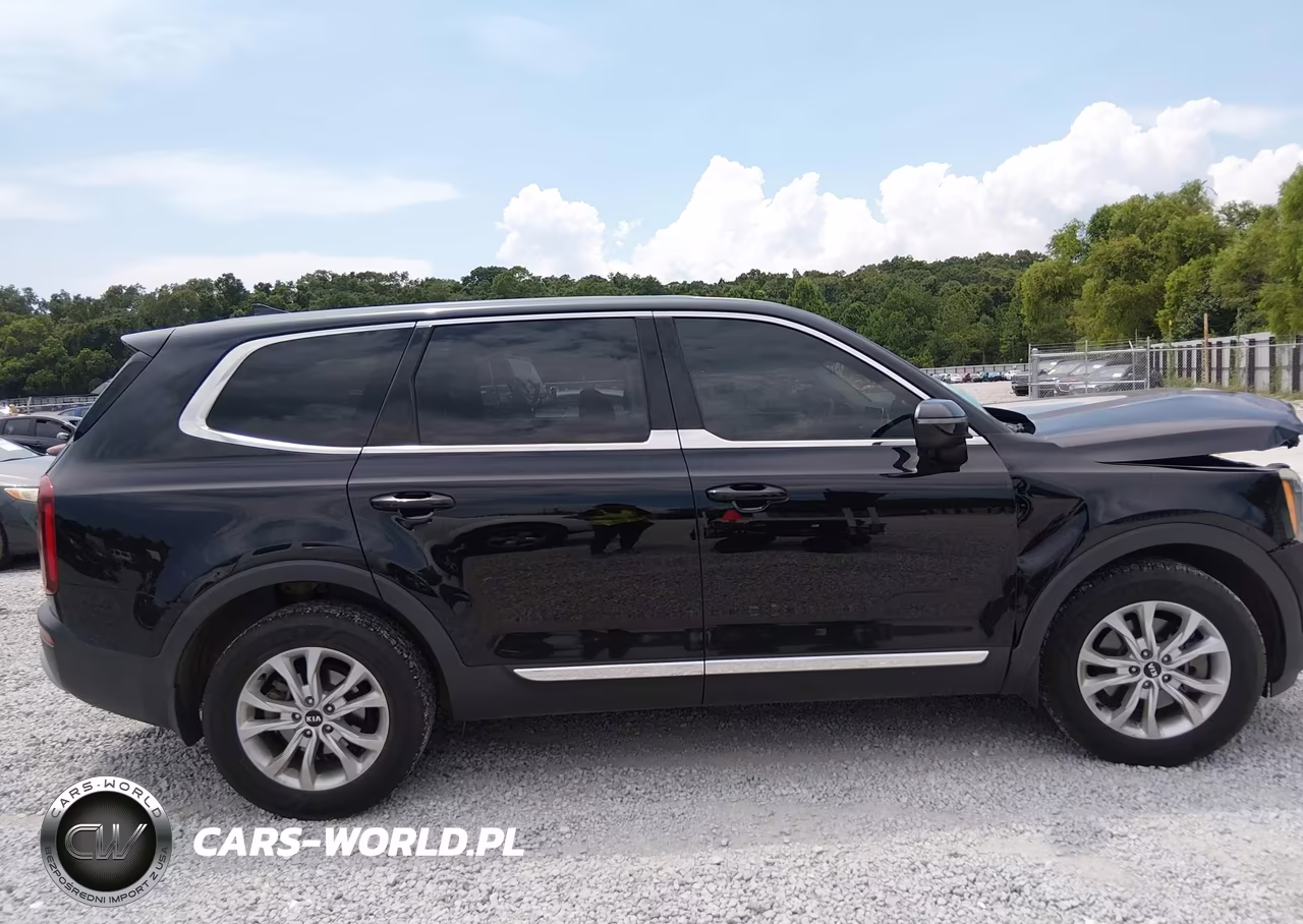 2021 Kia Telluride Lx VIN:5XYP24HC9MG102704 - 13