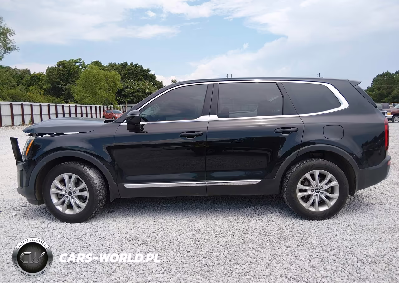 2021 Kia Telluride Lx VIN:5XYP24HC9MG102704 - 14