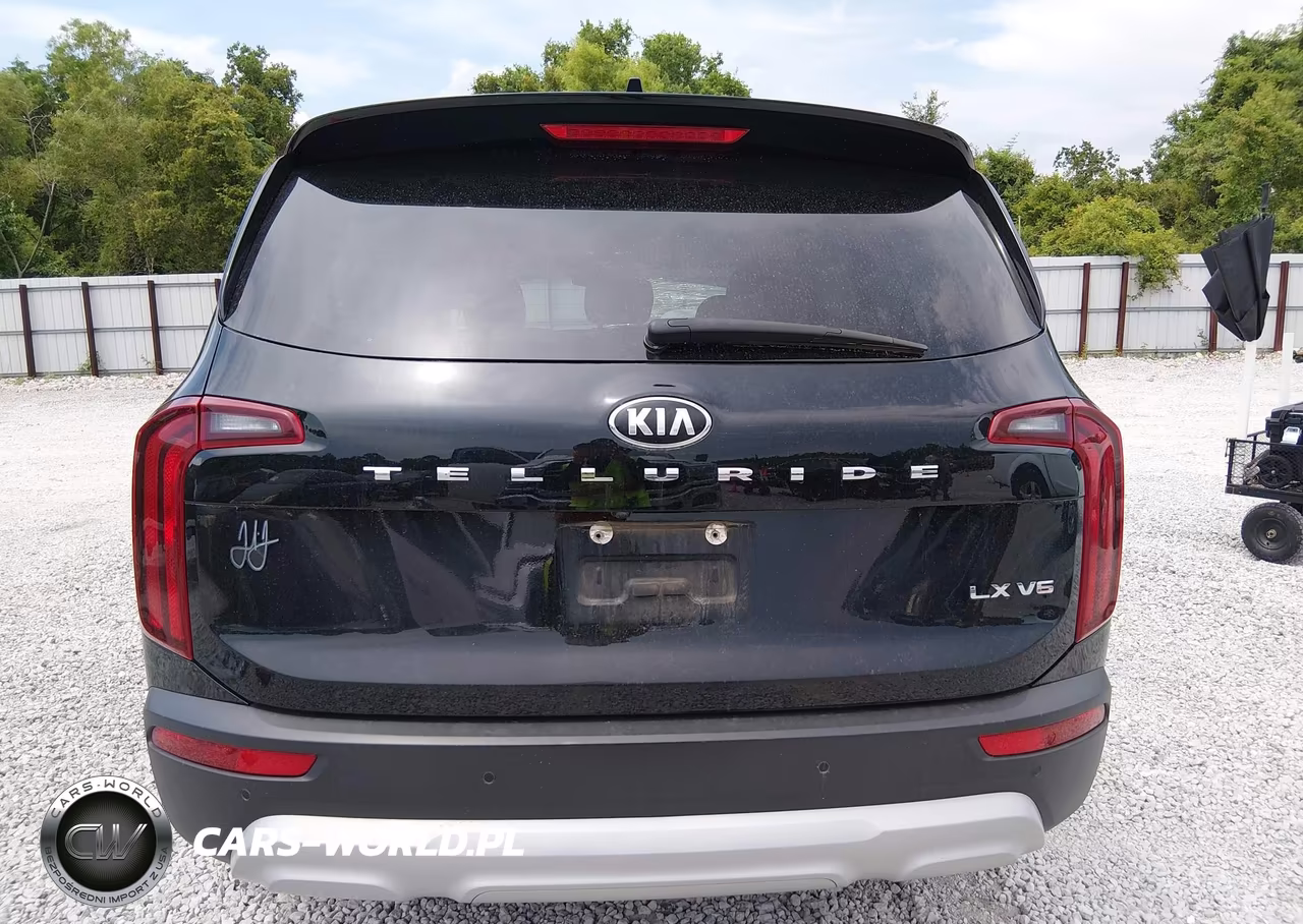 2021 Kia Telluride Lx VIN:5XYP24HC9MG102704 - 16