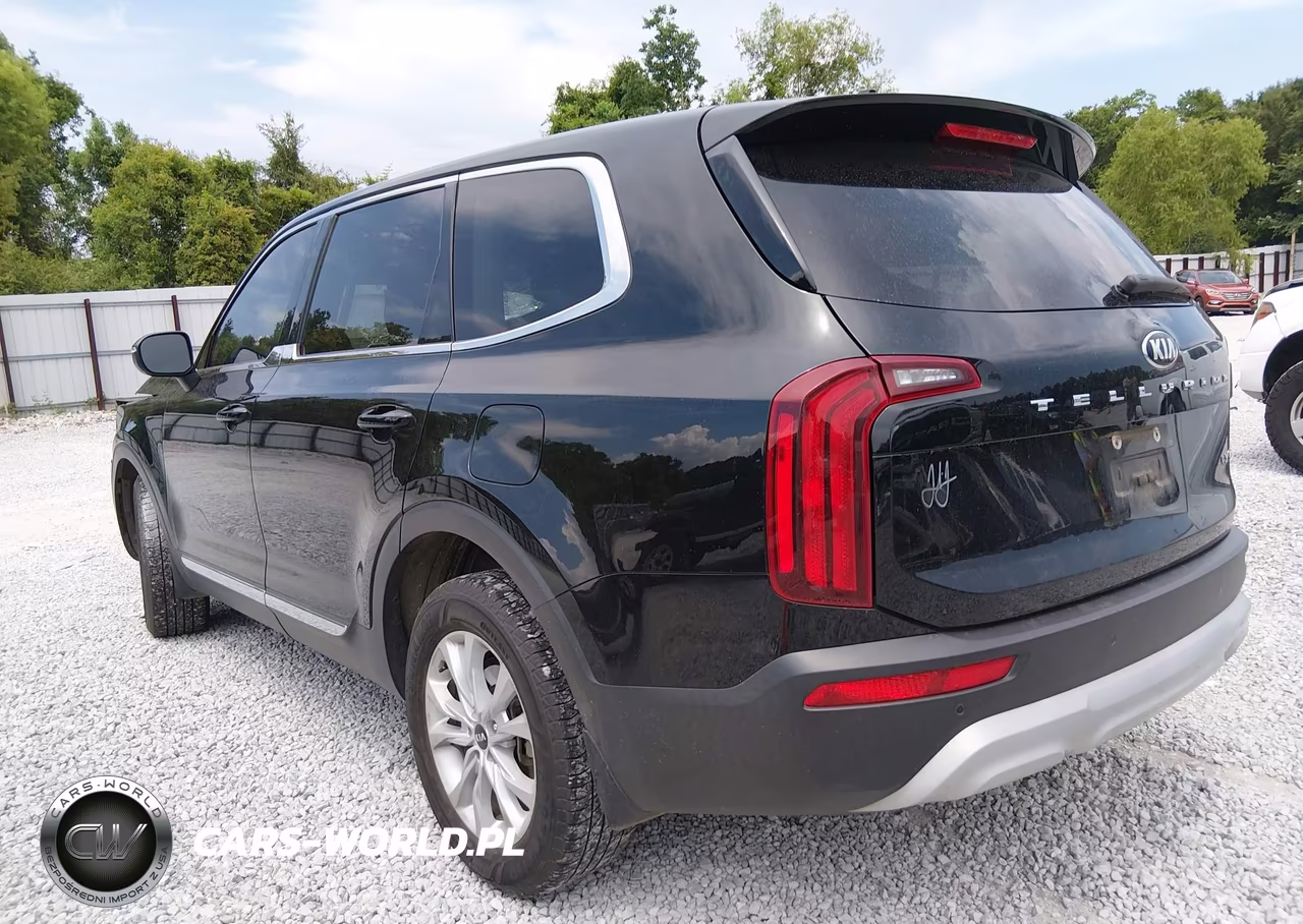 2021 Kia Telluride Lx VIN:5XYP24HC9MG102704 - 3
