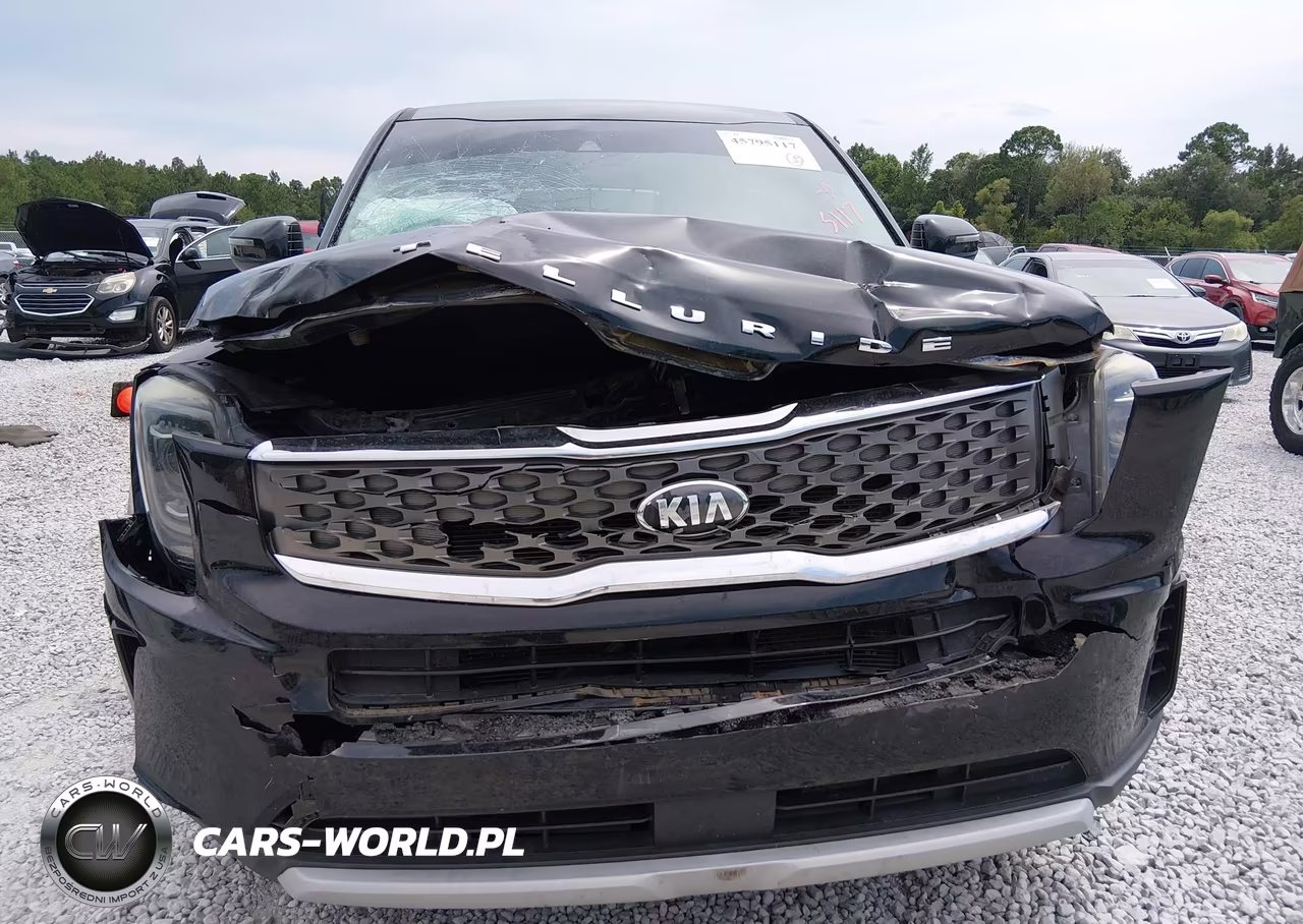 2021 Kia Telluride Lx VIN:5XYP24HC9MG102704 - 6