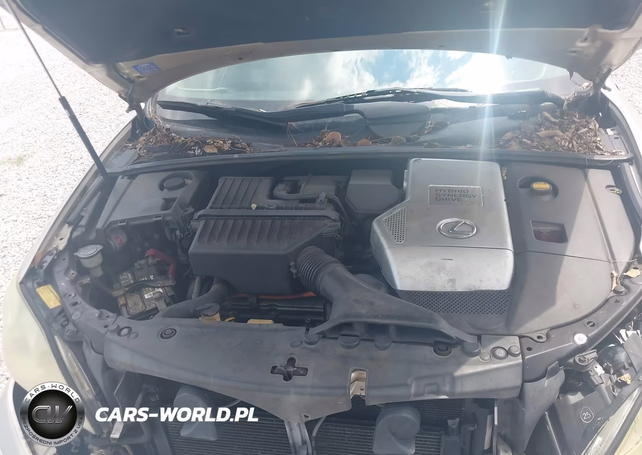 2006 Lexus Rx 400H VIN:JTJHW31U760010390 - 10