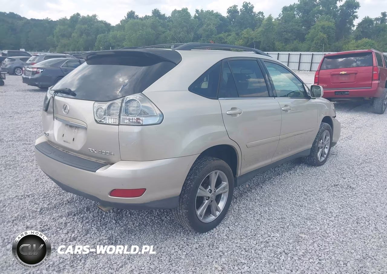2006 Lexus Rx 400H VIN:JTJHW31U760010390 - 4