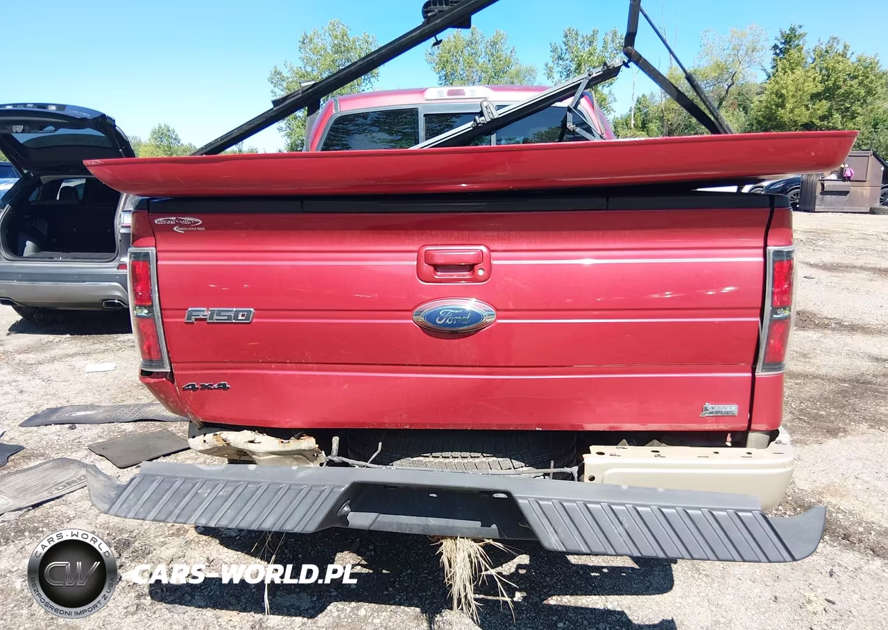 2010 Ford F-150 Fx4-Harley-Davidson-King Ranch-Lariat-Platinum-Xl-Xlt VIN:1FTFW1EV5AFA62172 - 16
