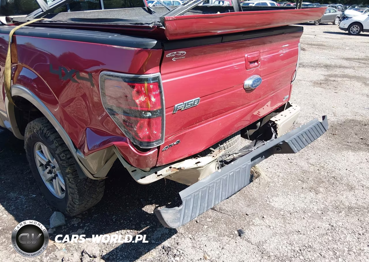 2010 Ford F-150 Fx4-Harley-Davidson-King Ranch-Lariat-Platinum-Xl-Xlt VIN:1FTFW1EV5AFA62172 - 6