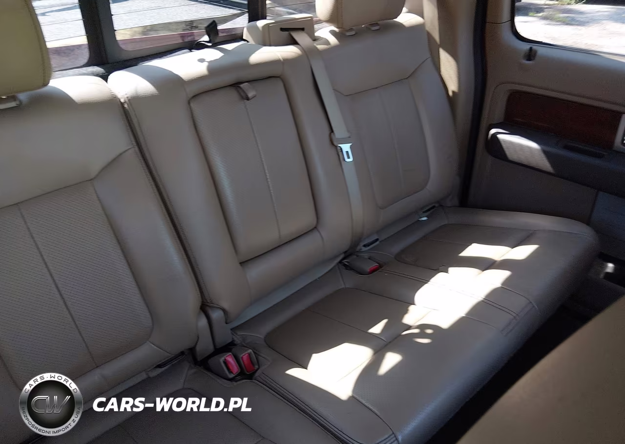 2010 Ford F-150 Fx4-Harley-Davidson-King Ranch-Lariat-Platinum-Xl-Xlt VIN:1FTFW1EV5AFA62172 - 8