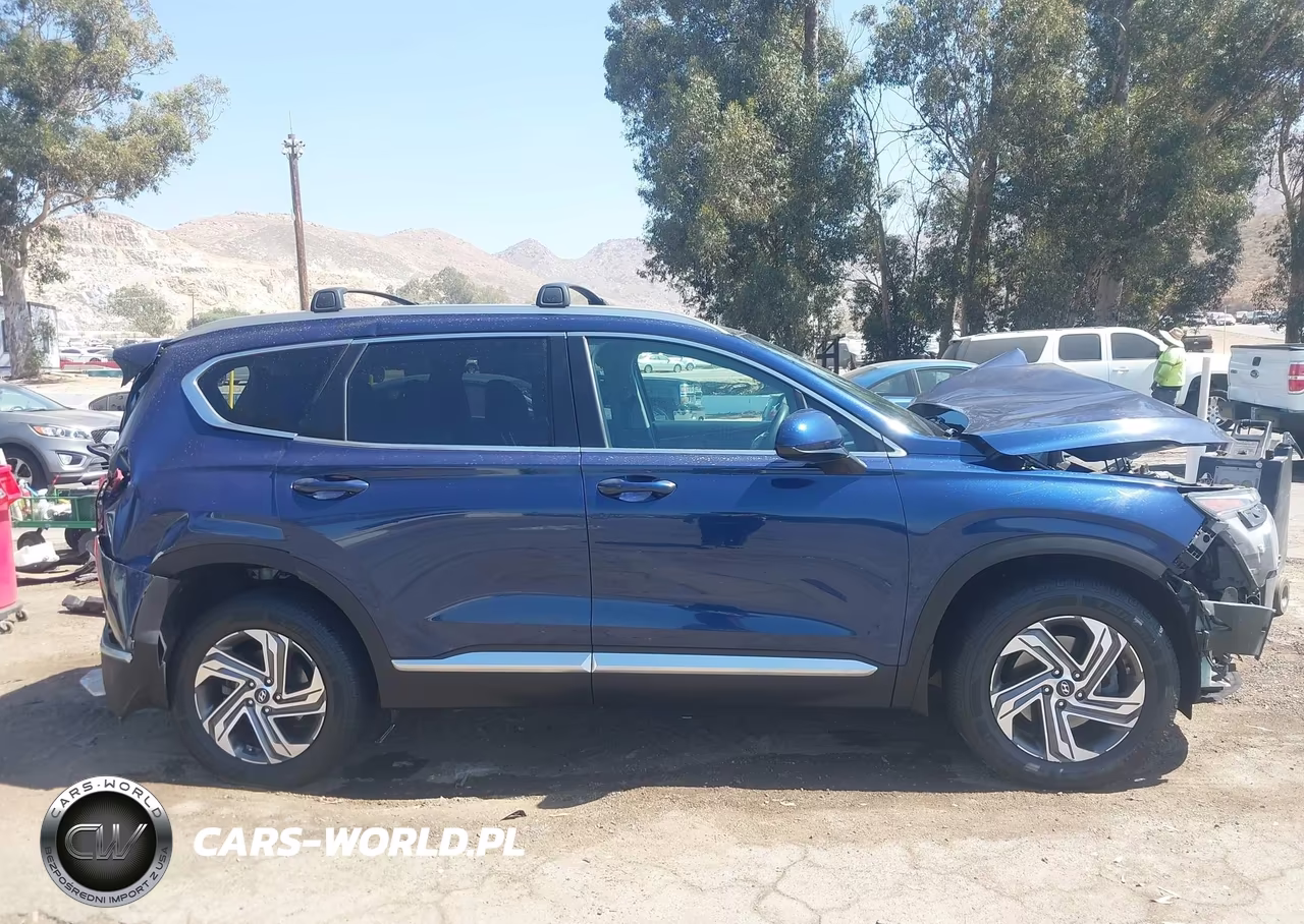 2021 Hyundai Santa Fe Sel VIN:5NMS2DAJ6MH371641 - 13