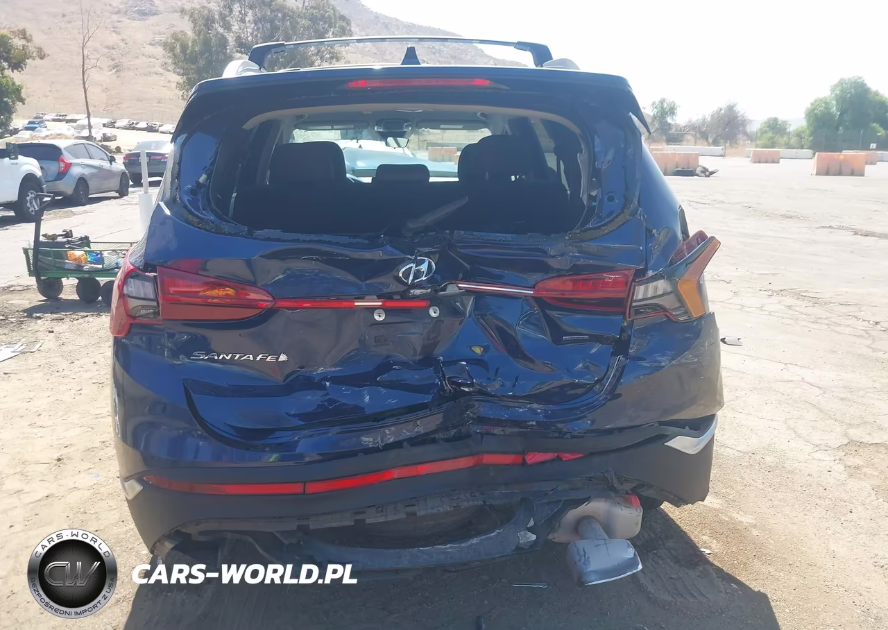 2021 Hyundai Santa Fe Sel VIN:5NMS2DAJ6MH371641 - 16