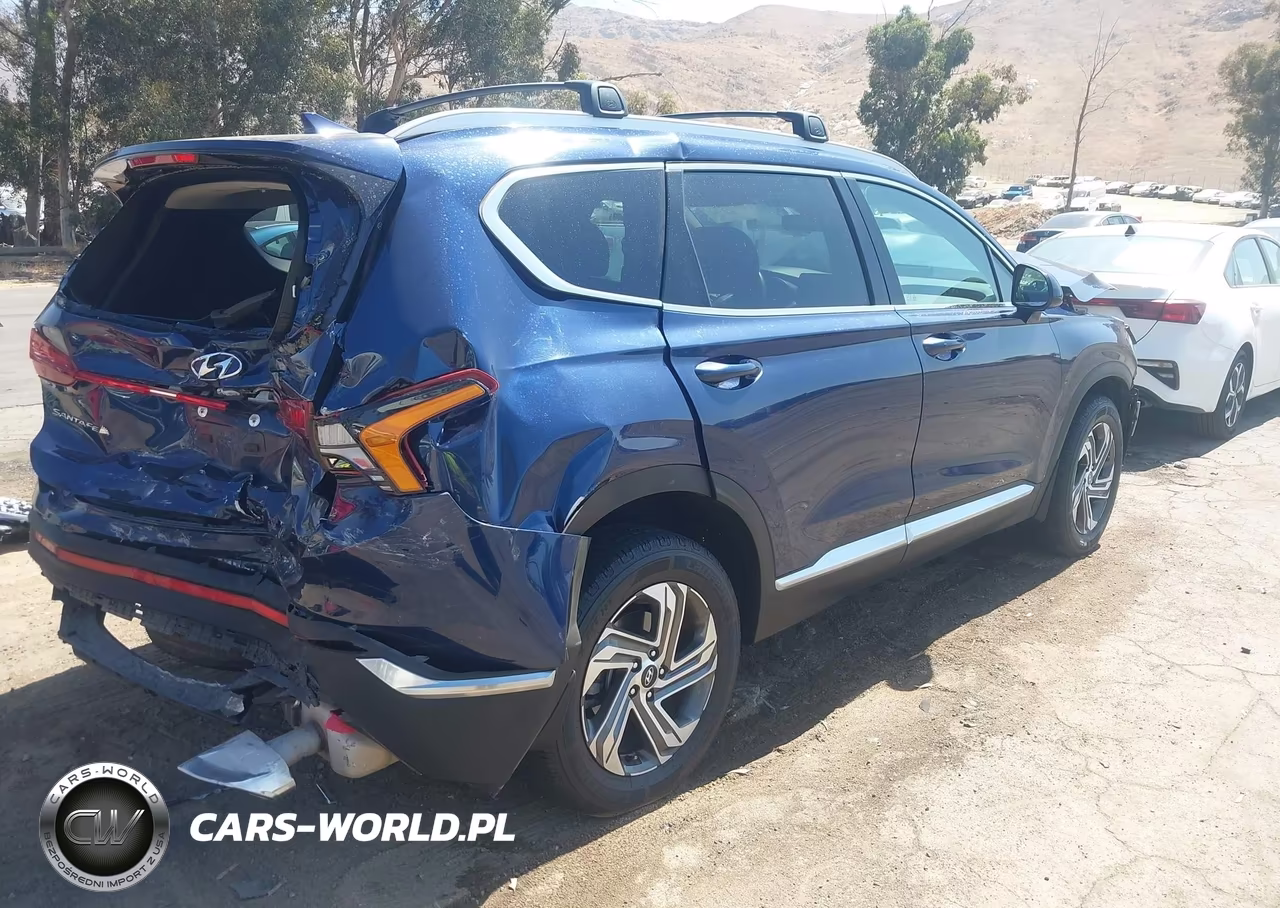 2021 Hyundai Santa Fe Sel VIN:5NMS2DAJ6MH371641 - 4