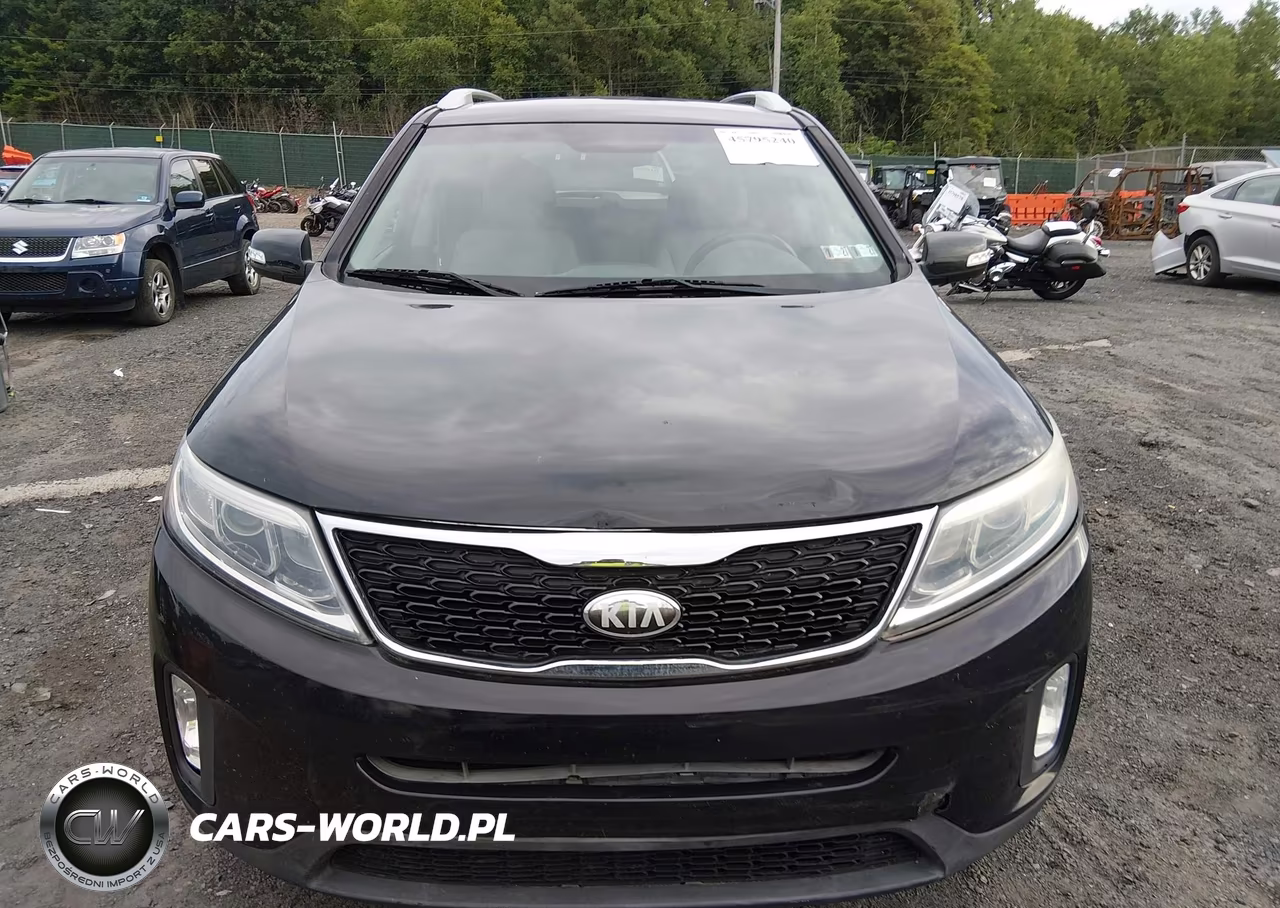 2014 Kia Sorento Lx VIN:5XYKTCA62EG450271 - 12