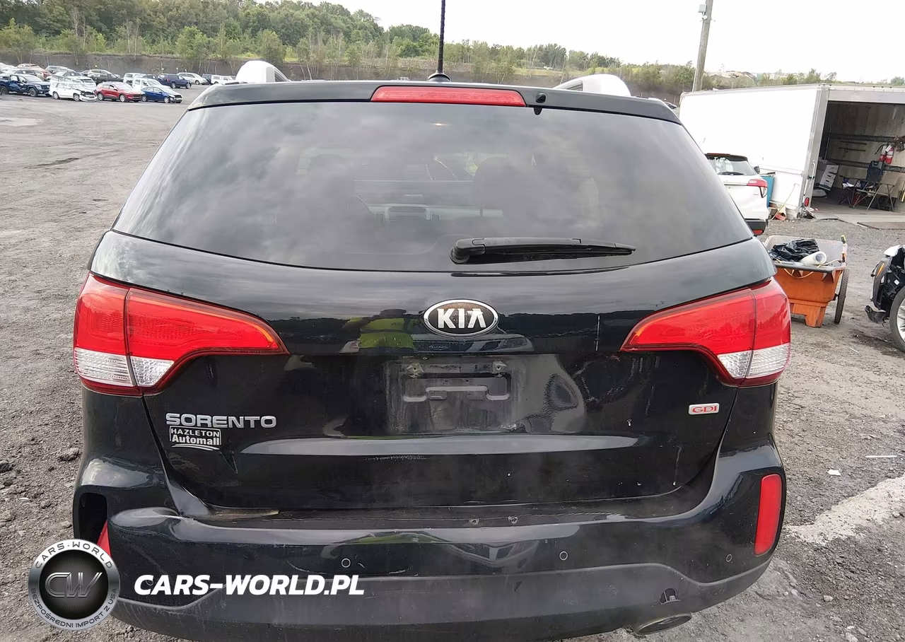 2014 Kia Sorento Lx VIN:5XYKTCA62EG450271 - 16