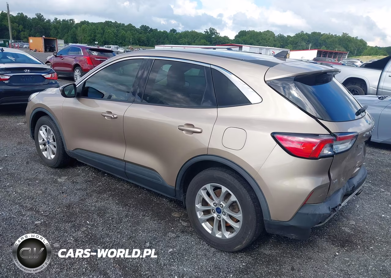 2020 Ford Escape Se VIN:1FMCU0G68LUB59529 - 3