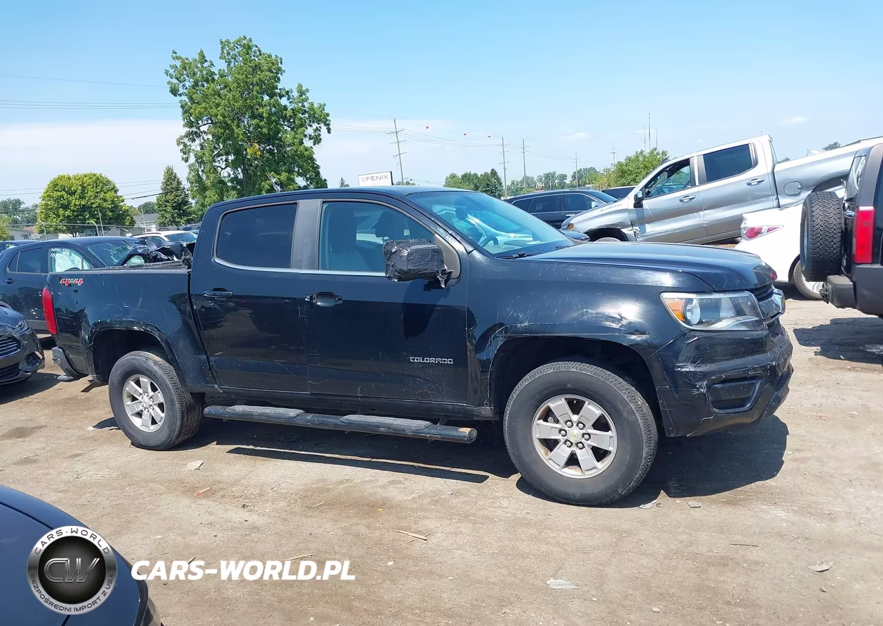 2016 Chevrolet Colorado 4Wd Wt VIN:1GCGTBE33G1299444 - 13