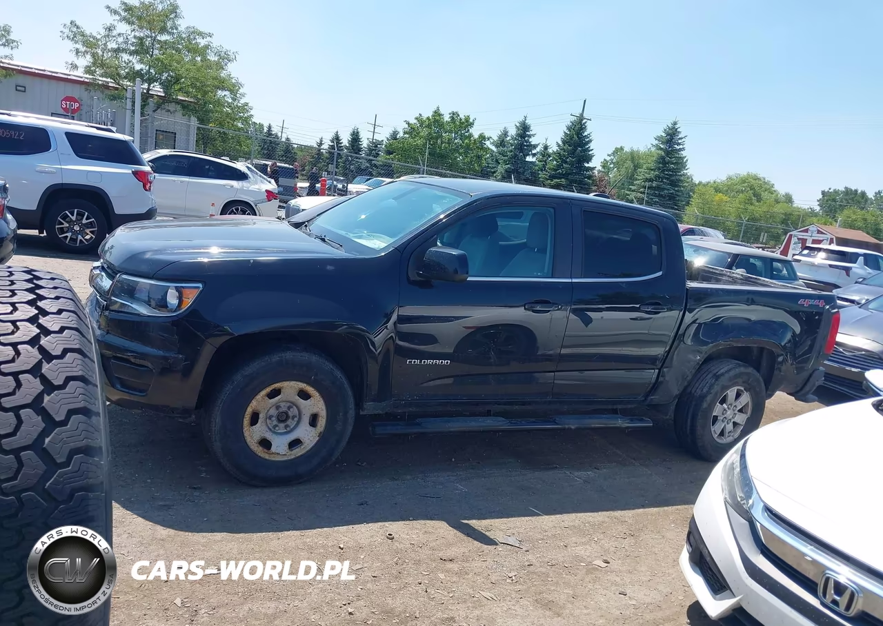 2016 Chevrolet Colorado 4Wd Wt VIN:1GCGTBE33G1299444 - 14