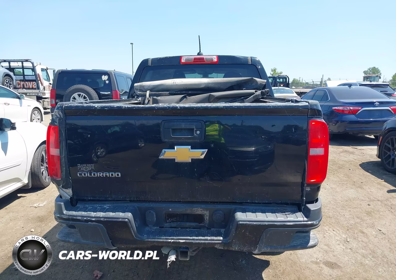 2016 Chevrolet Colorado 4Wd Wt VIN:1GCGTBE33G1299444 - 16