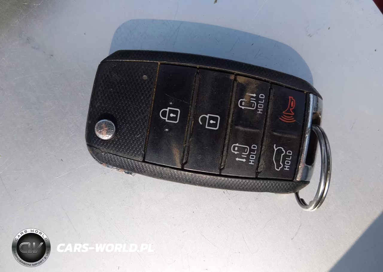 2016 Kia Sedona Lx VIN:KNDMB5C19G6095193 - 11