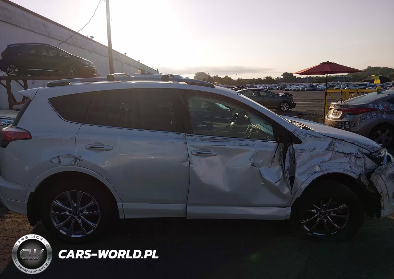 TOYOTA RAV4 LIMIT VIN:2T3DFREV4JW741810 - 14