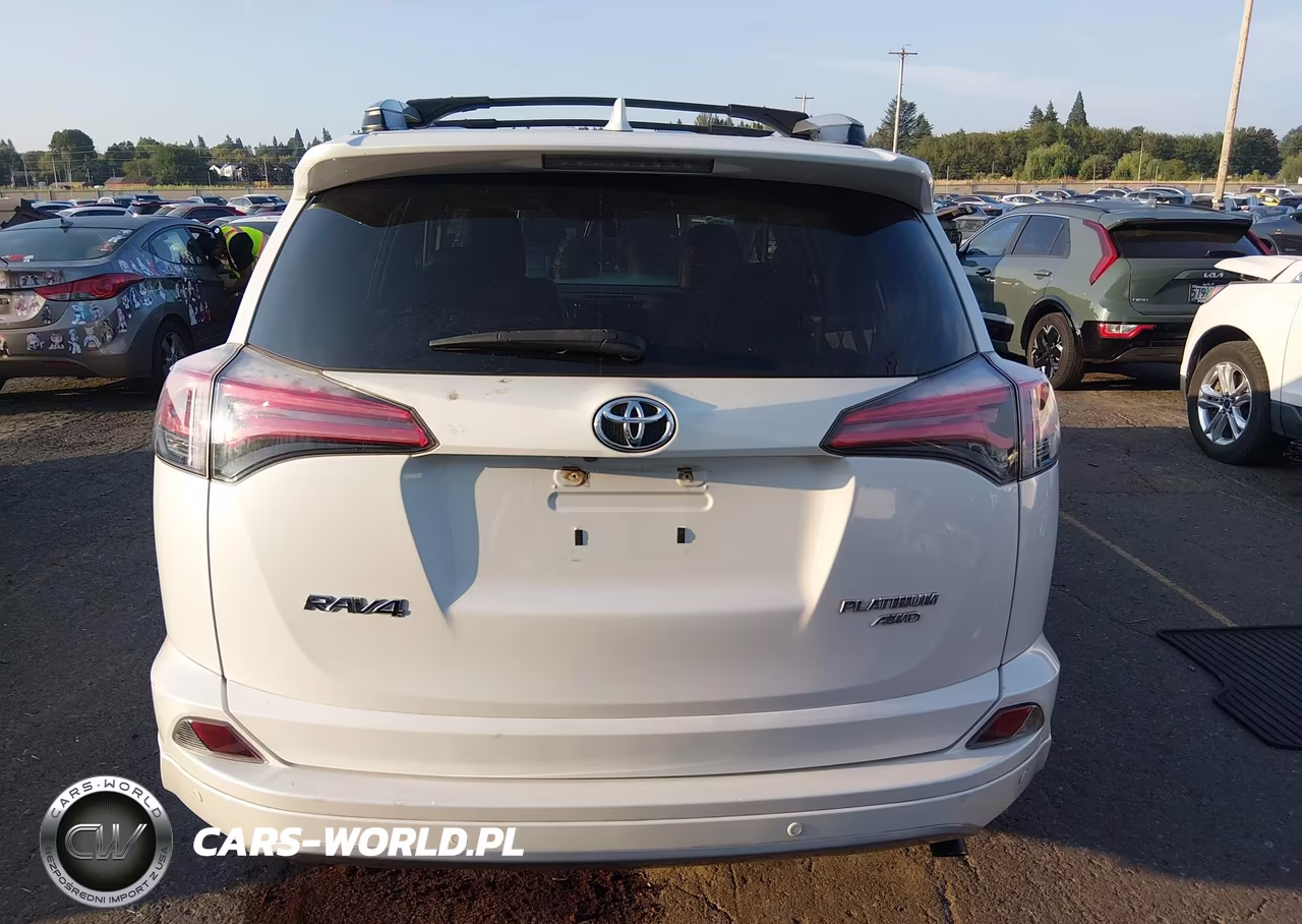 TOYOTA RAV4 LIMIT VIN:2T3DFREV4JW741810 - 17