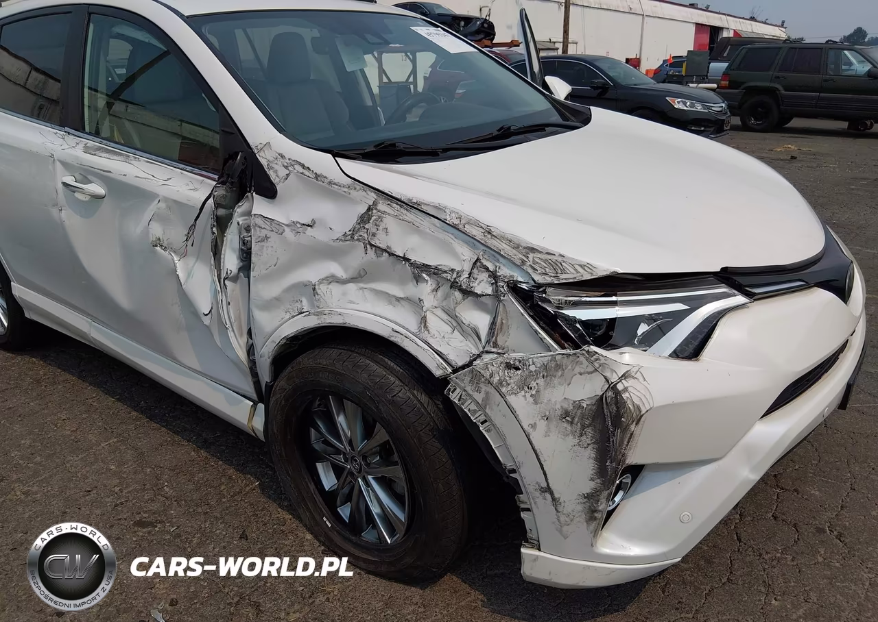 TOYOTA RAV4 LIMIT VIN:2T3DFREV4JW741810 - 18