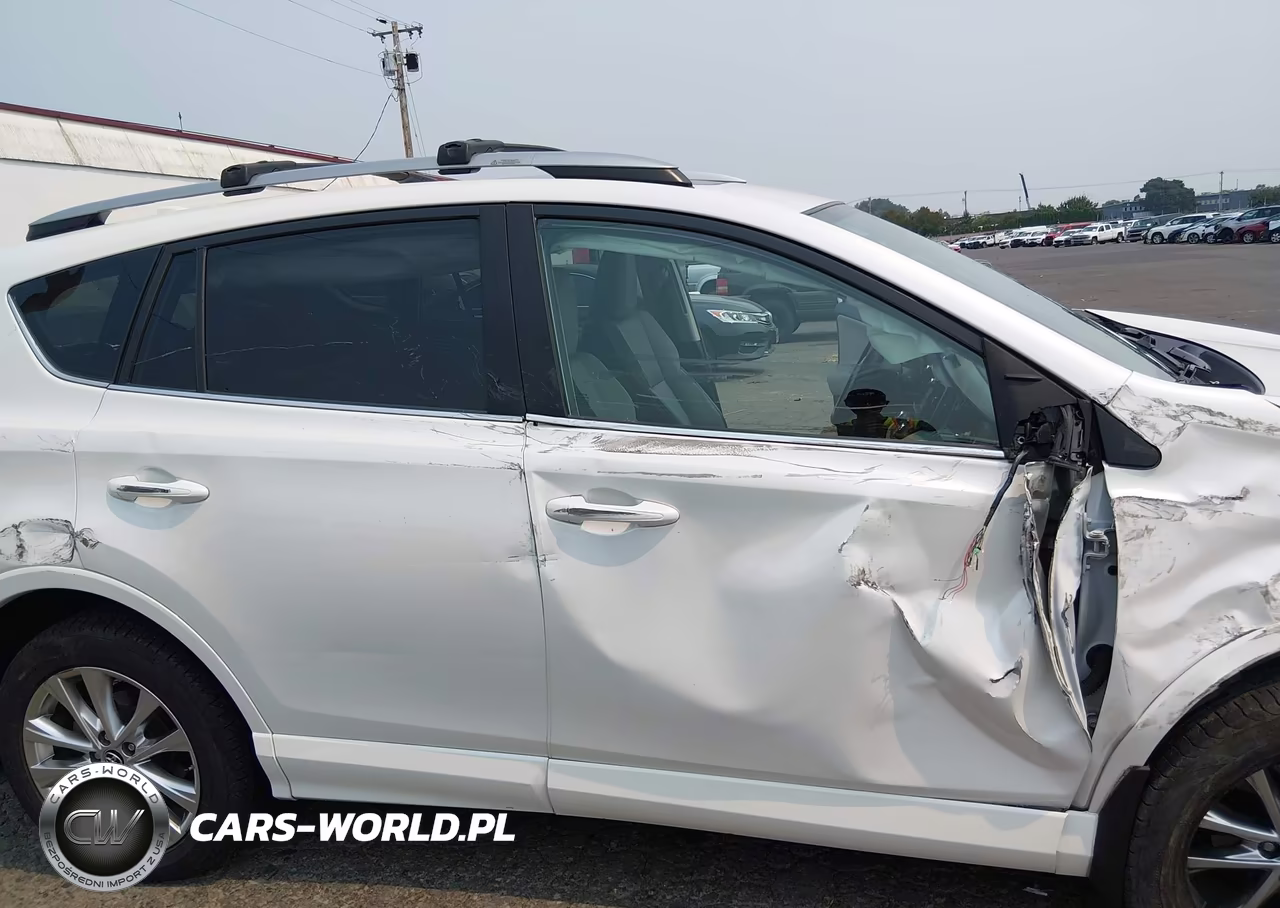 TOYOTA RAV4 LIMIT VIN:2T3DFREV4JW741810 - 19