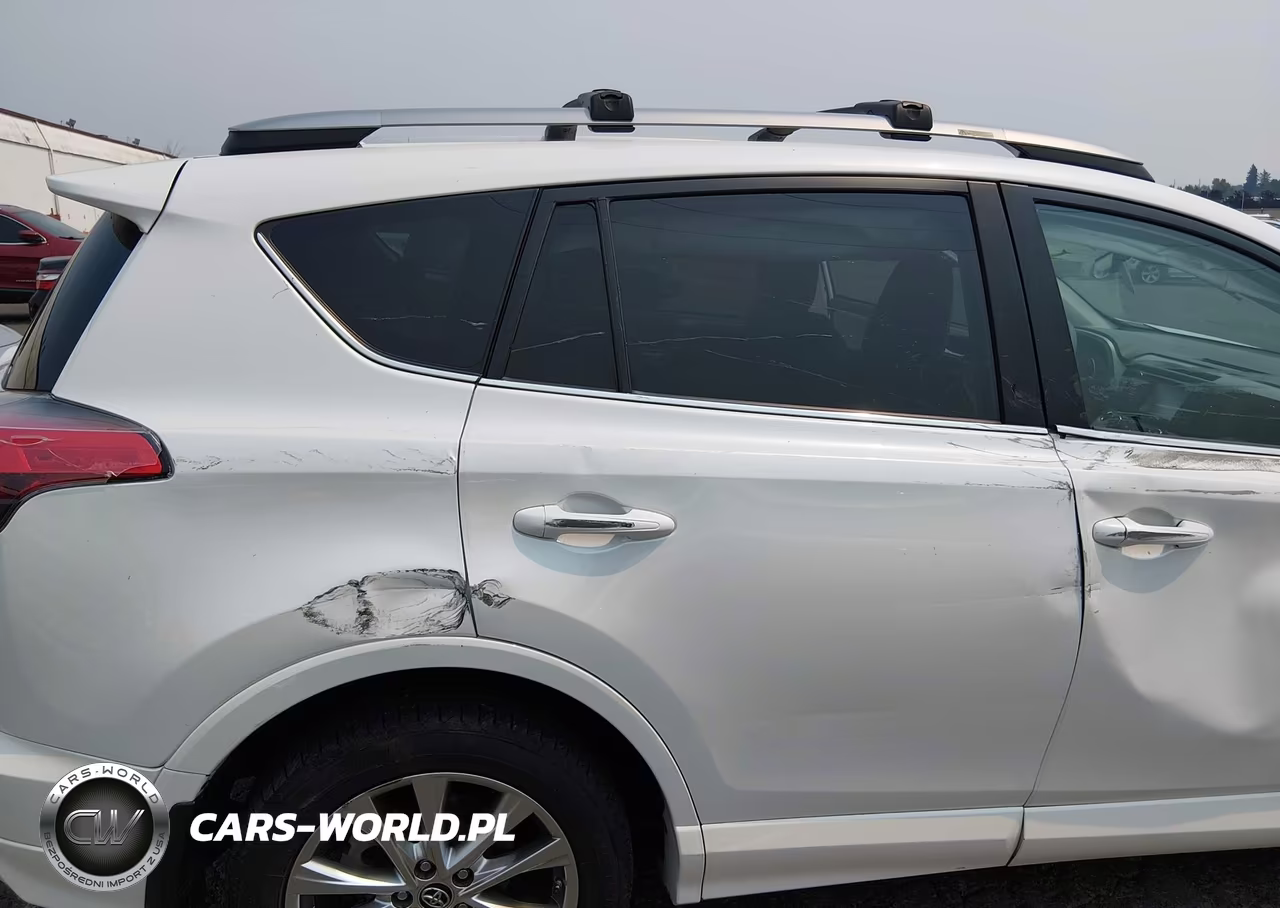 TOYOTA RAV4 LIMIT VIN:2T3DFREV4JW741810 - 20