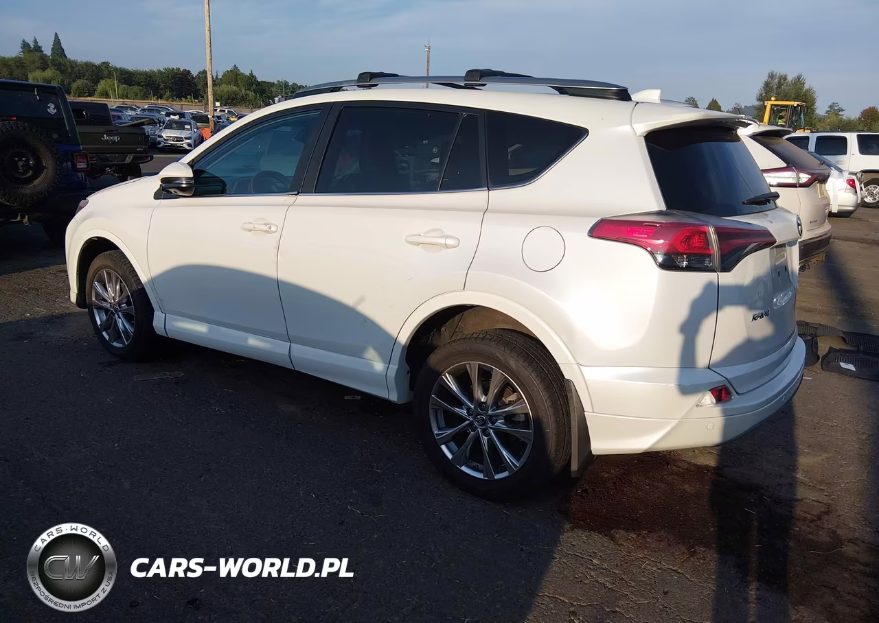 TOYOTA RAV4 LIMIT VIN:2T3DFREV4JW741810 - 3
