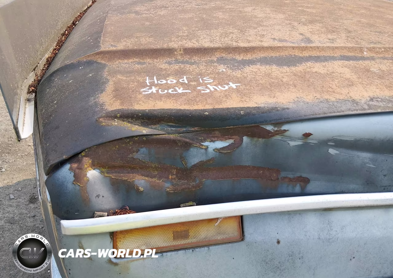 1983 Ford F150 VIN:1FTEF14Y0DRA09826 - 10