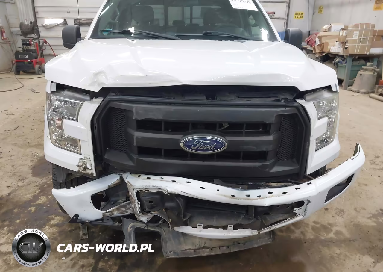 2016 Ford F-150 Xl VIN:1FTEX1EP9GFD37772 - 6