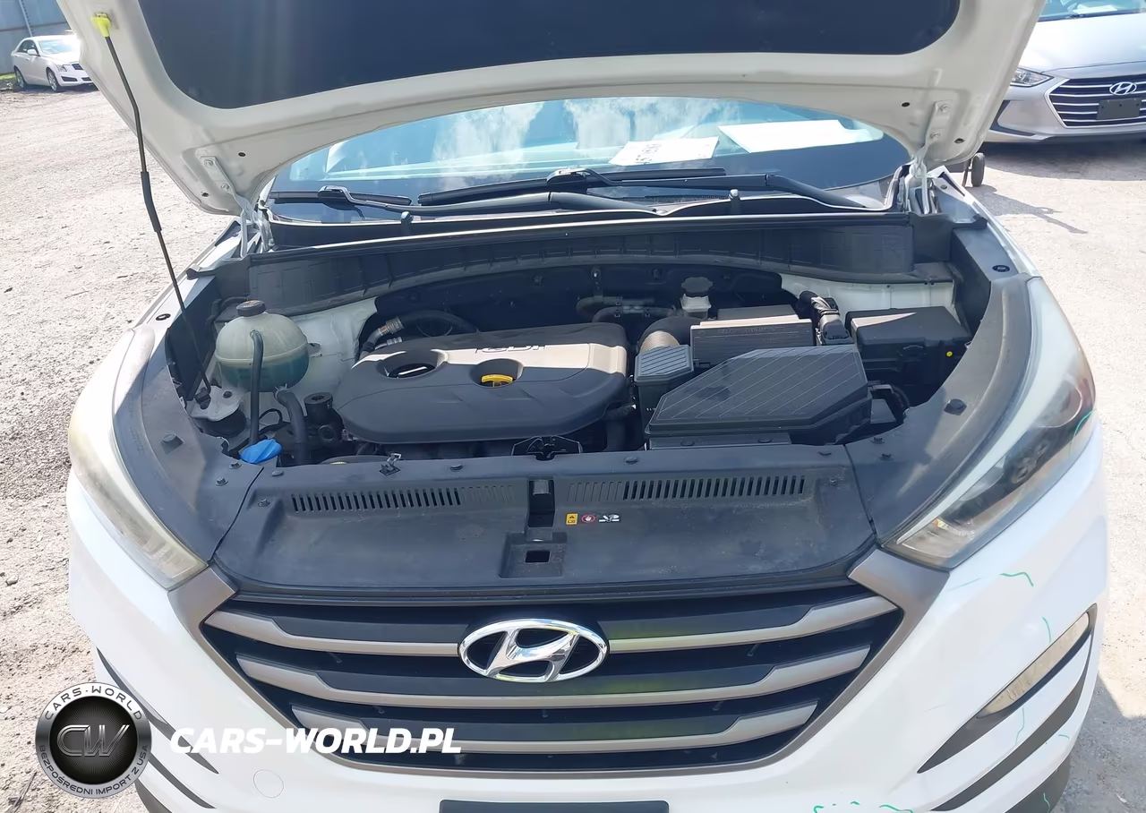 2016 Hyundai Tucson Se VIN:KM8J33A41GU072502 - 10
