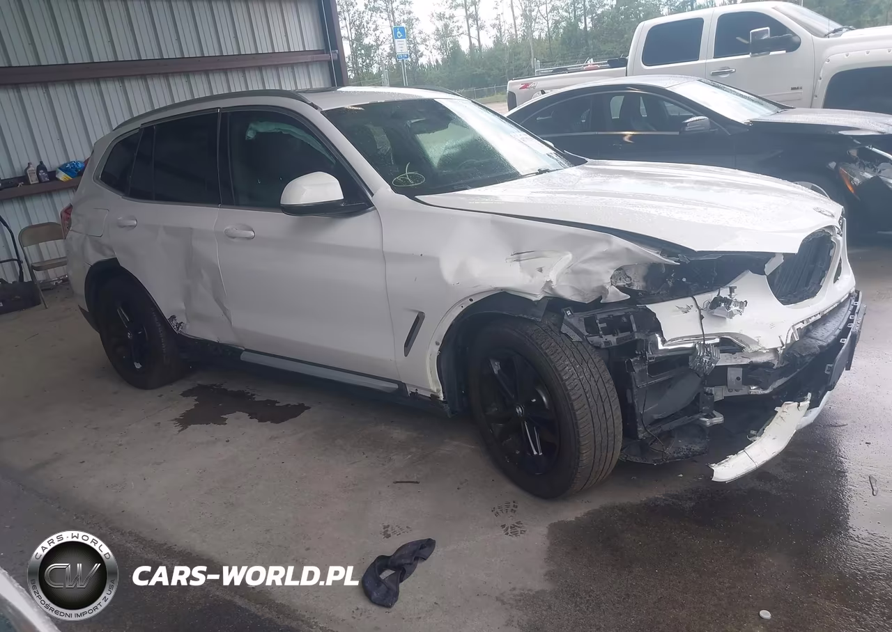 2019 BMW X3 xDrive30I – zdjęcie 1 z 16