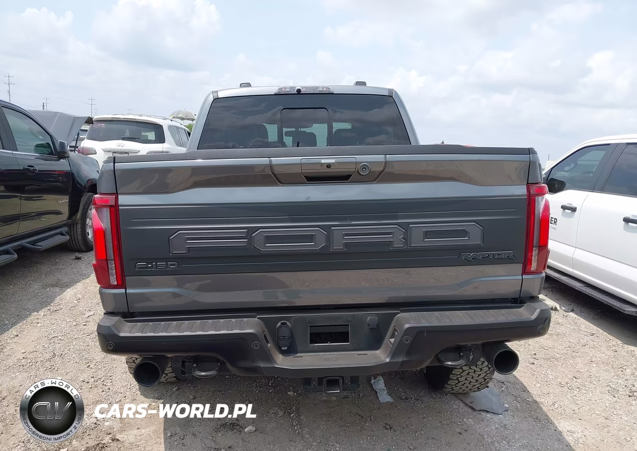 2024 Ford F-150 Raptor VIN:1FTFW1RG9RFB90051 - 17