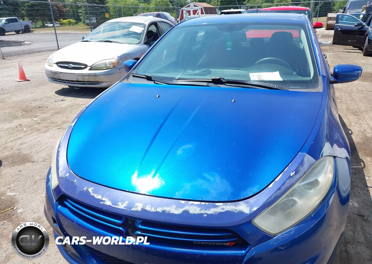 2013 Dodge Dart Se VIN:1C3CDFAA5DD325936 - 12