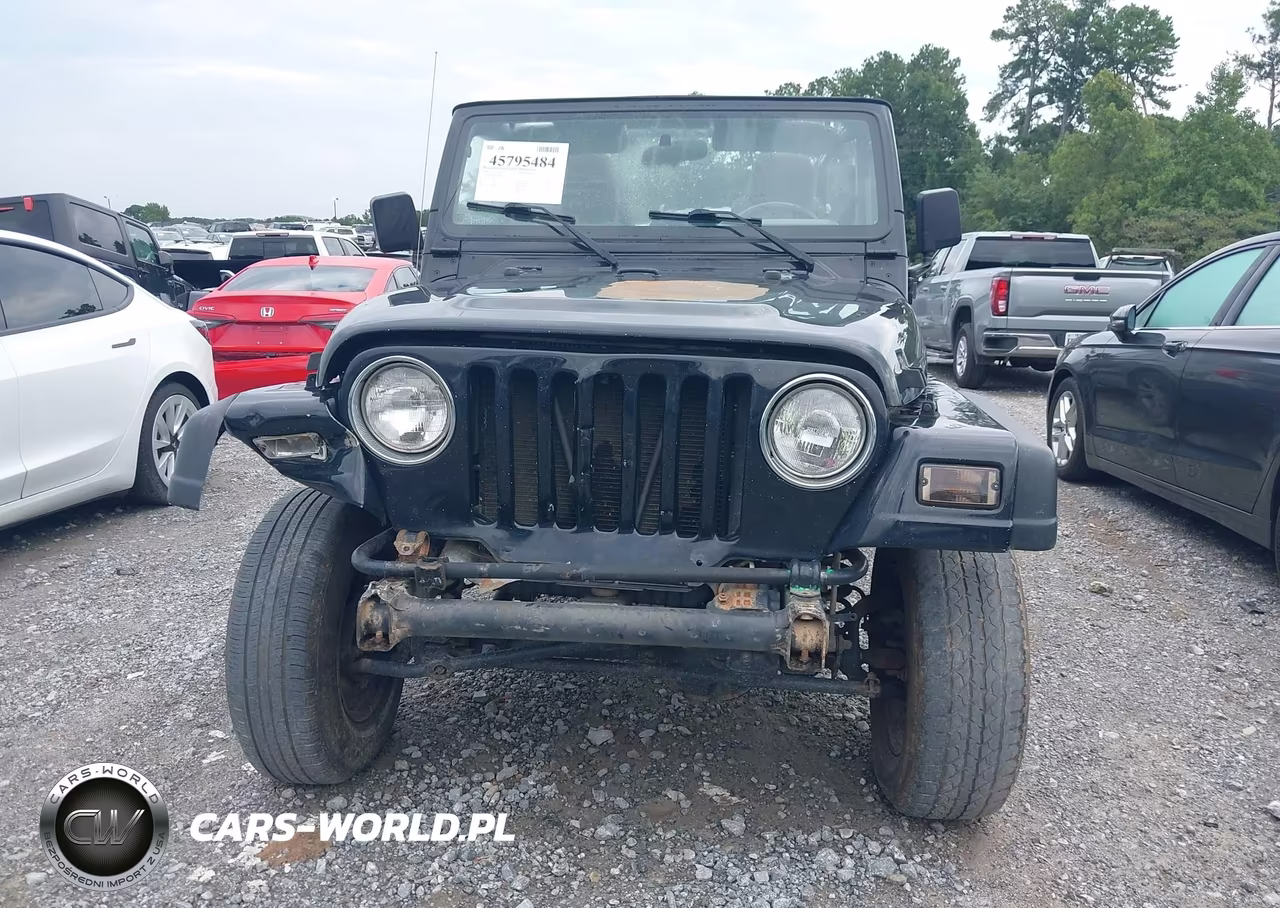 2004 Jeep Wrangler Unlimited VIN:1J4FA49S64P760542 - 12