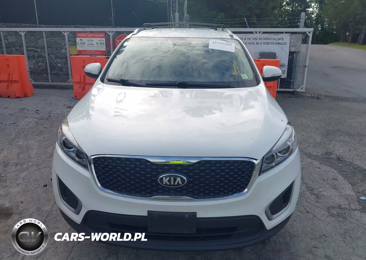 2016 Kia Sorento 3.3L Lx VIN:5XYPGDA59GG179882 - 12