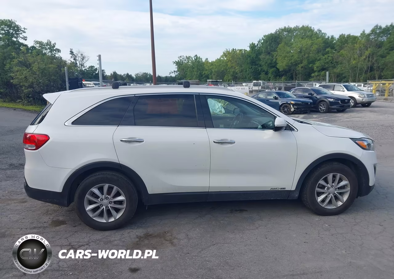 2016 Kia Sorento 3.3L Lx VIN:5XYPGDA59GG179882 - 13